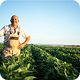 Seguro Agrícola